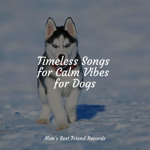 Music for Dog's Ears - Timeless Songs for Calm Vibes for Dogs - 2022