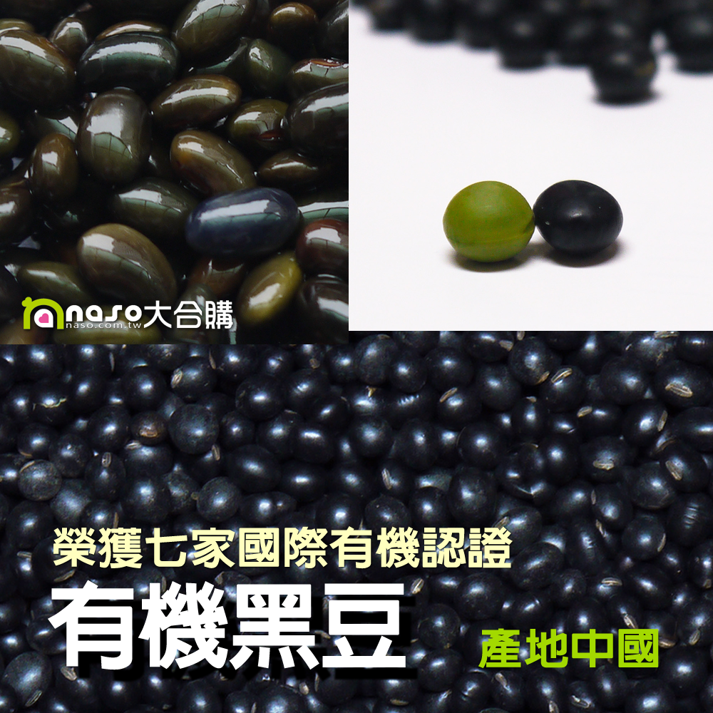 中國有機黑豆(青仁)