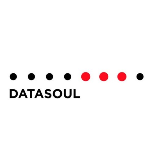 Datasoul - Digital Disorder - 2010