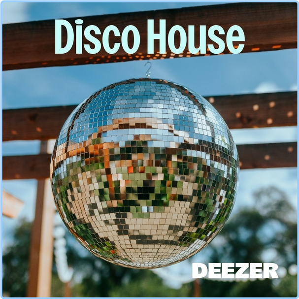 Various Artists - Disco House (2024) WEB [320 Kbps] Lz6A7lwp_o