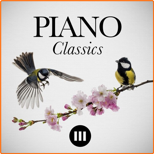 Various Artists - Piano Classics (2024) [320 Kbps] Qxg6yTqe_o