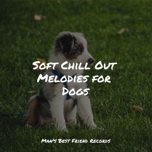 Sleep Music For Dogs - Soft Chill Out Melodies for Dogs - 2022