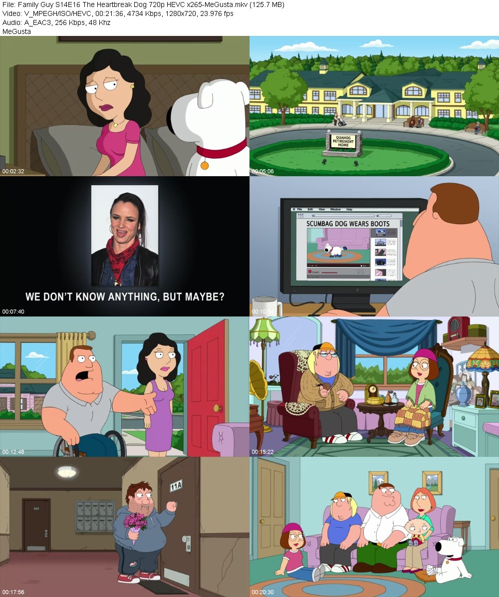 Family Guy S14E16 The Heartbreak Dog 720p HEVC x265-MeGusta