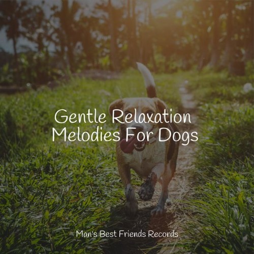 Music For Dogs - Gentle Relaxation Melodies For Dogs - 2022