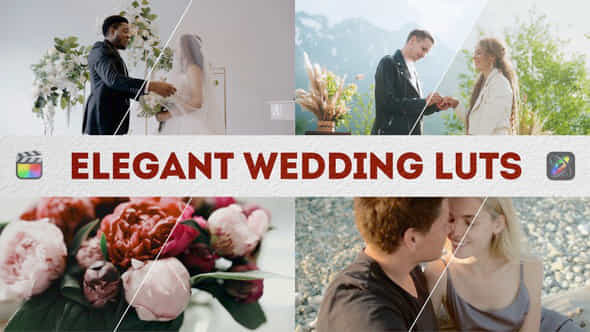 Elegant Wedding Luts Fcpx Apple Motion - VideoHive 49623430