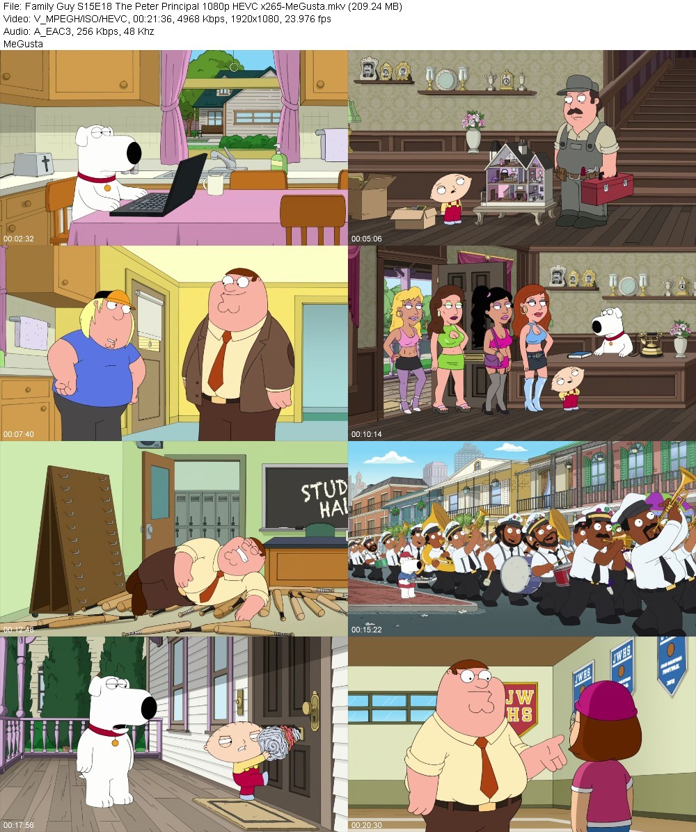 Family Guy S15E18 The Peter Principal 1080p HEVC x265-MeGusta