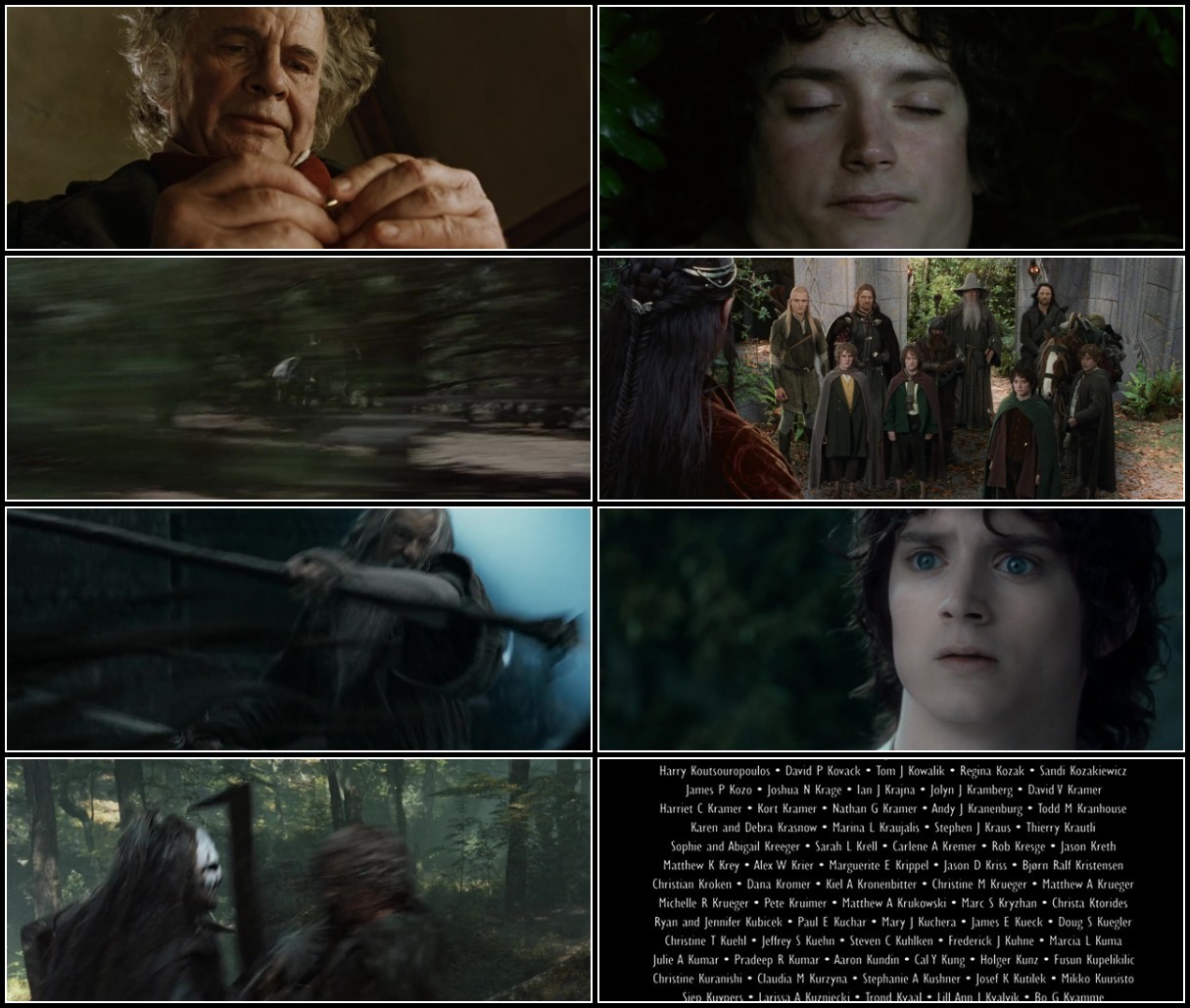 The Lord Of The Rings The Fellowship Of The Ring (2001) [EXTENDED REMASTERED] 720p...