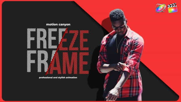 Unique Freeze Frame. - VideoHive 35295193