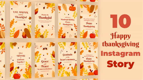 Happy Thanksgiving Instagram Stories - VideoHive 34765382