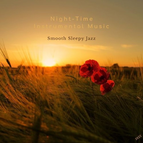 Night-Time Instrumental Music - Smooth Sleepy Jazz - 2022