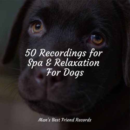 Relaxing Music for Dogs - 50 Recordings for Spa & Relaxation For Dogs - 2022