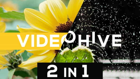 Clean Promo - VideoHive 20294874