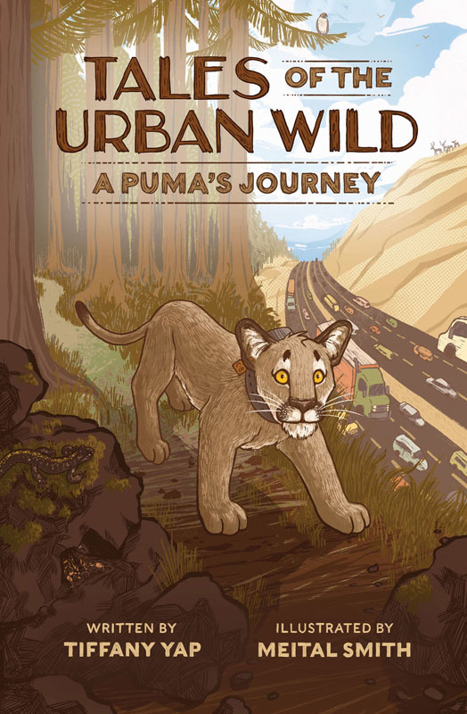 Tales of the Urban Wild - A Puma's Journey (2024)