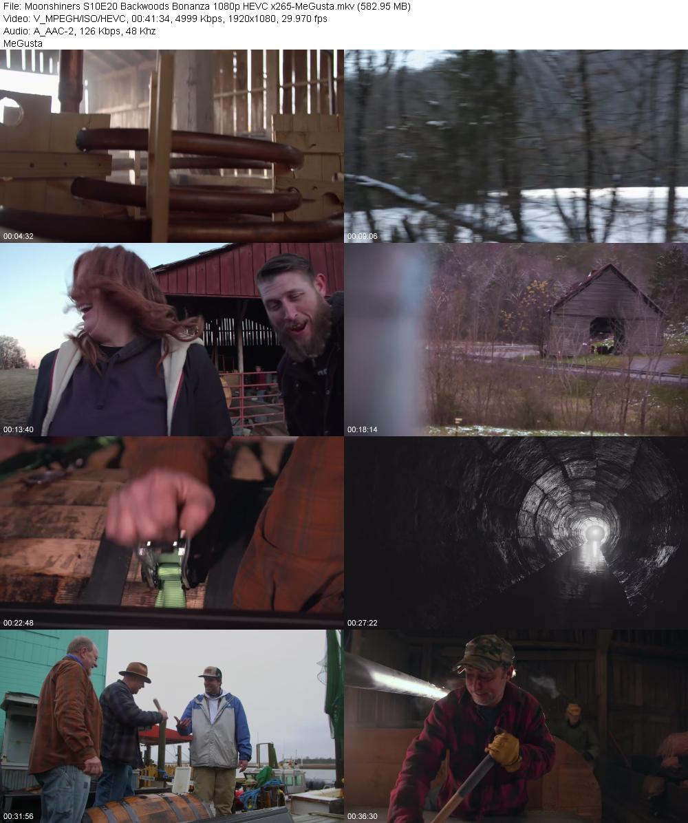 Moonshiners S10E20 Backwoods Bonanza 1080p HEVC x265