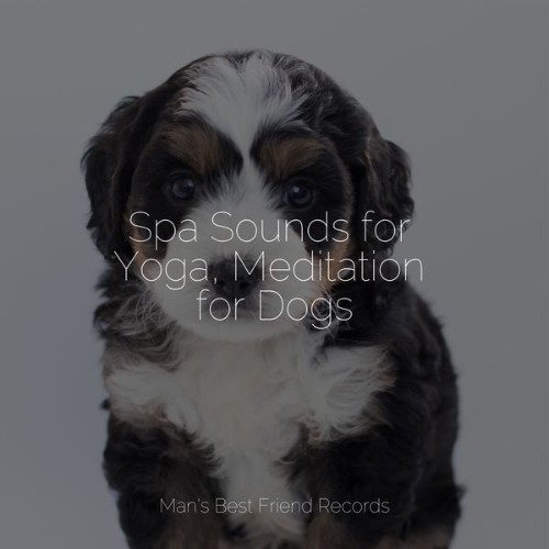 Pet Care Music Therapy - Spa Sounds for Yoga, Meditation for Dogs - 2022