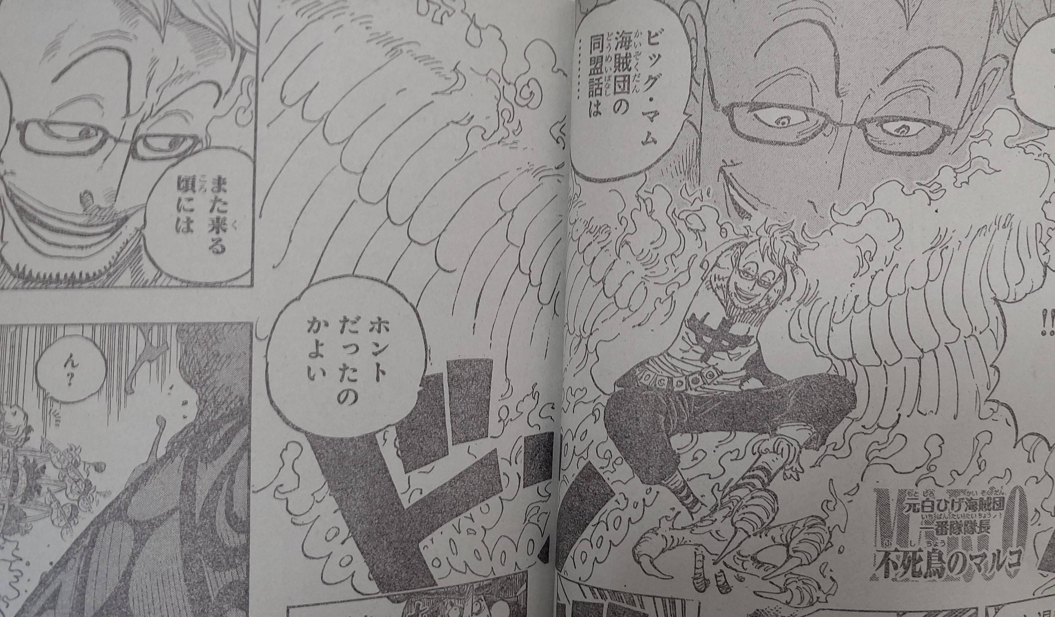 One Piece Spoilers 981 N235KASA_o