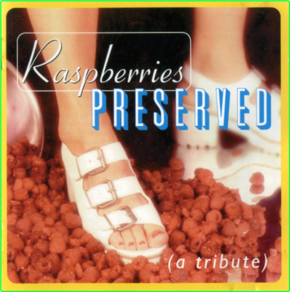 Various Raspberries Preserved A Tribute (1996) [FLAC] 30cSinBX_o