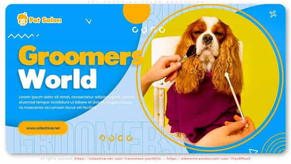 Pet Grooming Salon Promotion - VideoHive 30723694