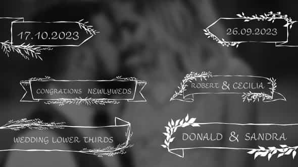 Wedding Lower Thirds - VideoHive 49483500