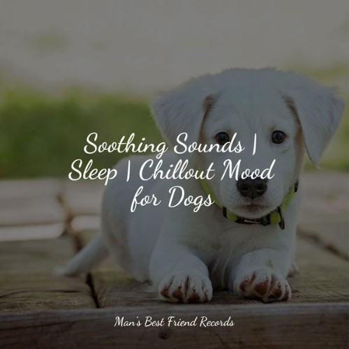 Official Pet Care Collection - Soothing Sounds  Sleep  Chillout Mood for Dogs - 2022