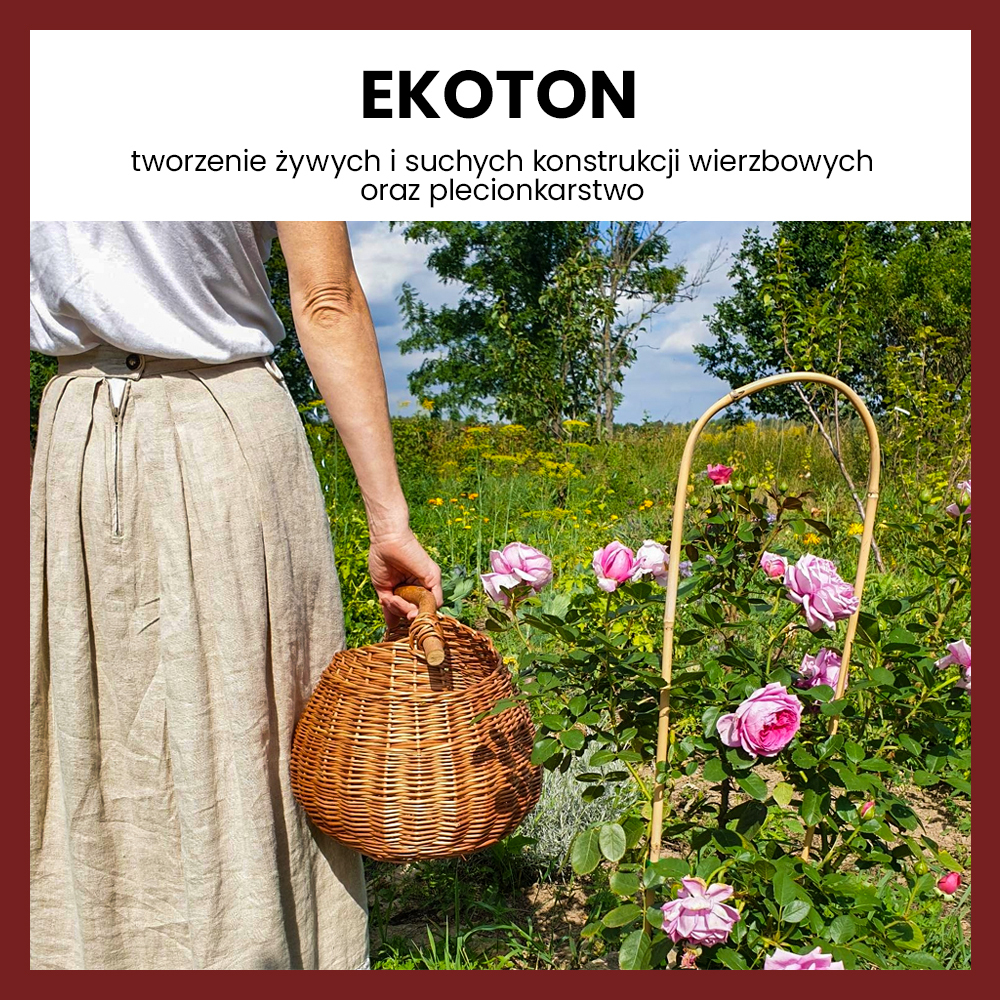 EKOTON