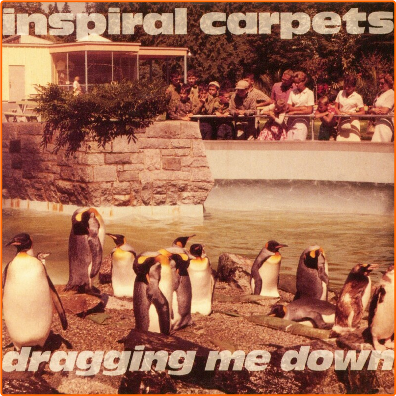 Inspiral Carpets (1992) Dragging Me Down EB8XdJBK_o