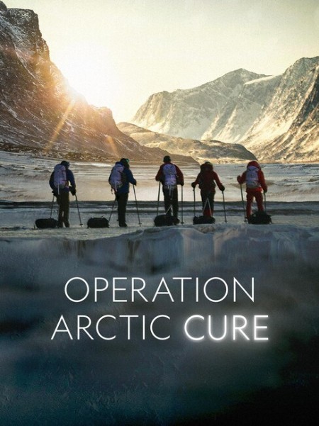 Operation Arctic Cure (2024) 1080p WEB h264-EDITH