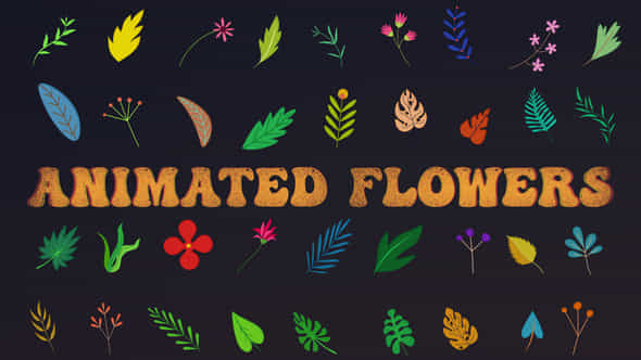 Animated Flowers - VideoHive 33839237