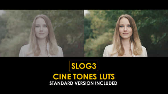 Slog3 Cine Tones And Standard Luts - VideoHive 50922905