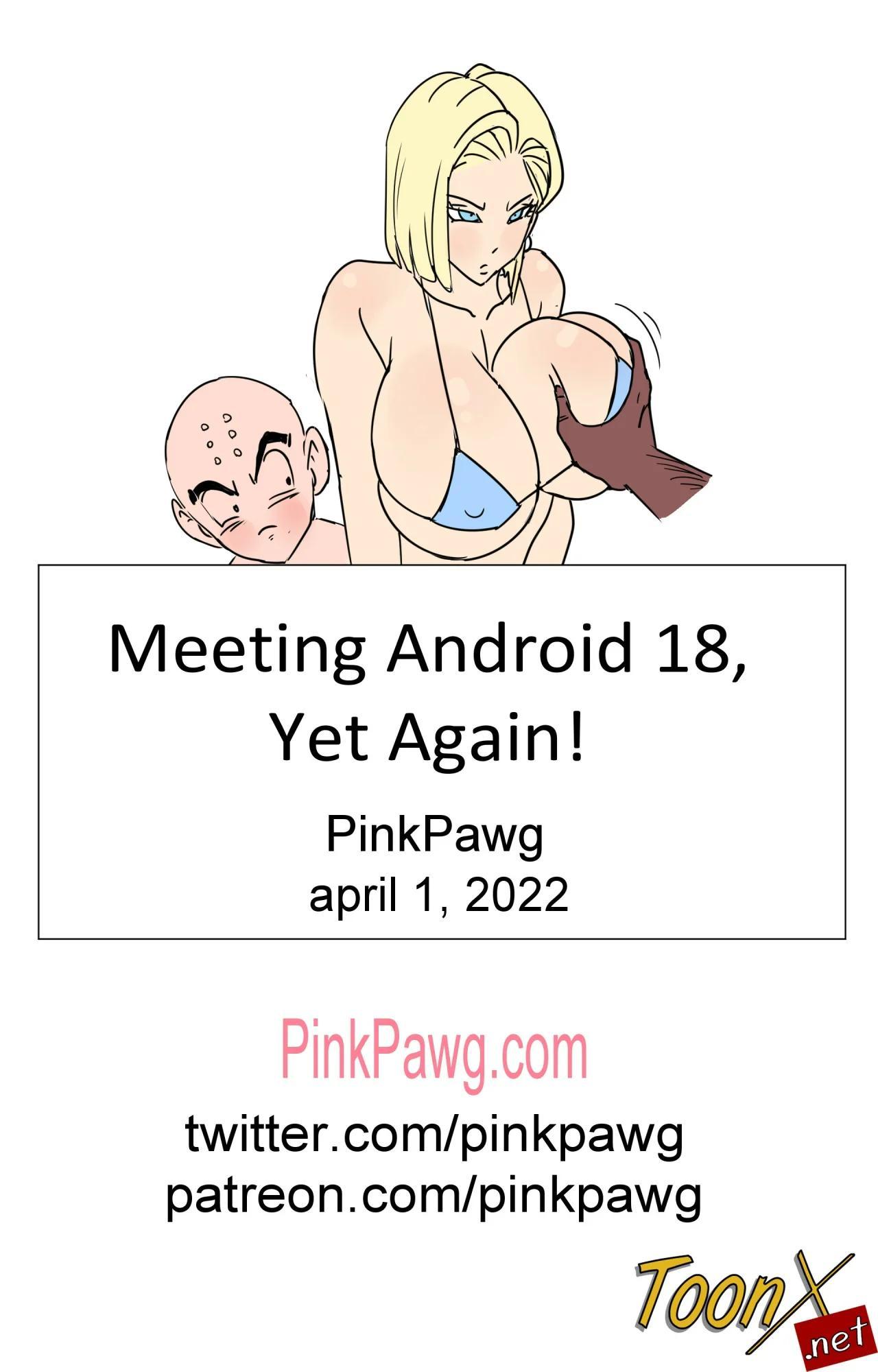 Meeting Android 18 Yet Again - 23