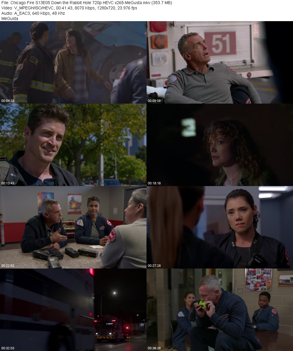 Chicago Fire S13E05 Down the Rabbit Hole 720p HEVC x265-MeGusta