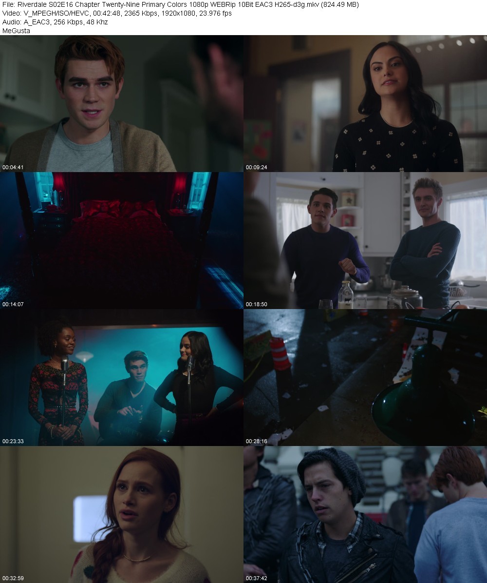 Riverdale S02E16 Chapter Twenty-Nine Primary Colors 1080p WEBRip 10Bit EAC3 H265-d3g