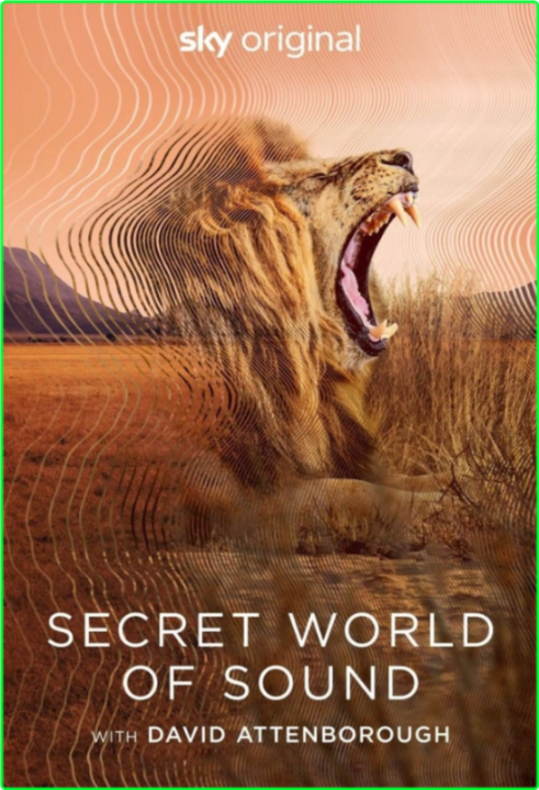 Secret World Of Sound With David Attenborough S01E01 Hunters And Hunted [1080p] 5DyvbjFF_o