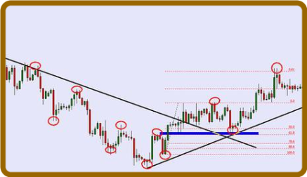 Price Action Forex Trend Training For Beginners