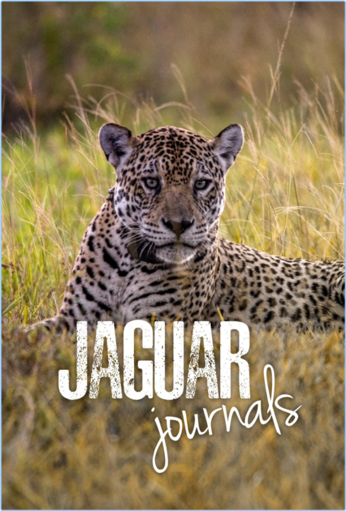 Jaguar Journals S01E02 [1080p] (x265) [6 CH] Ps2UayU3_o