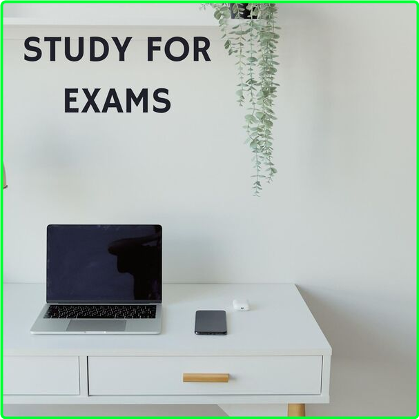 Various Artists - Study For Exams (2024) [320 Kbps] TMKH2Rvu_o