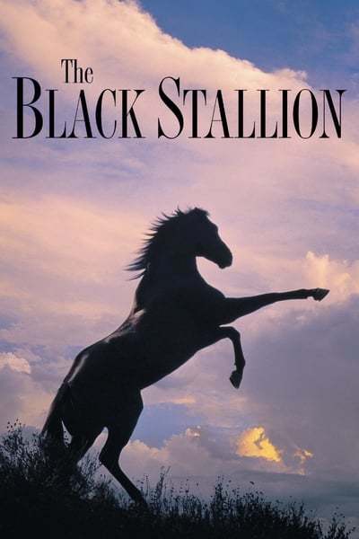 The Black Stallion 1979 1080p BluRay x264-OFT