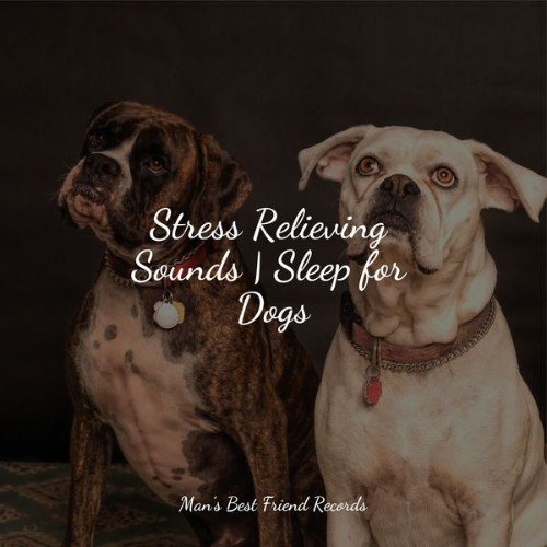 Music For Dogs - Stress Relieving Sounds  Sleep for Dogs - 2022