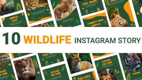 Wildlife Instagram Story - VideoHive 35490855