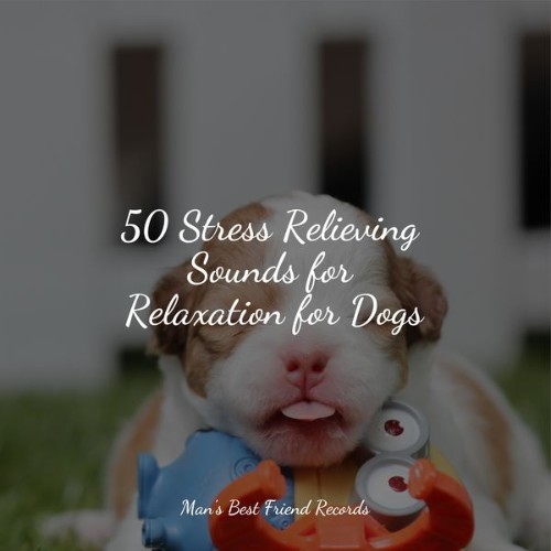 Music for Pets Library - 50 Stress Relieving Sounds for Relaxation for Dogs - 2022
