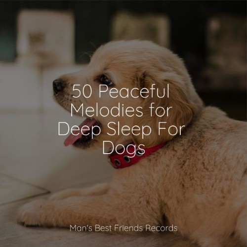 Music For Dogs Peace - 50 Peaceful Melodies for Deep Sleep For Dogs - 2022