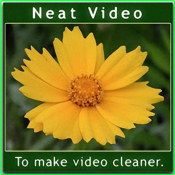 ABSoft Neat Video Pro 5.6.0 X64 For Adobe After Effects 0nd6QQuW_o