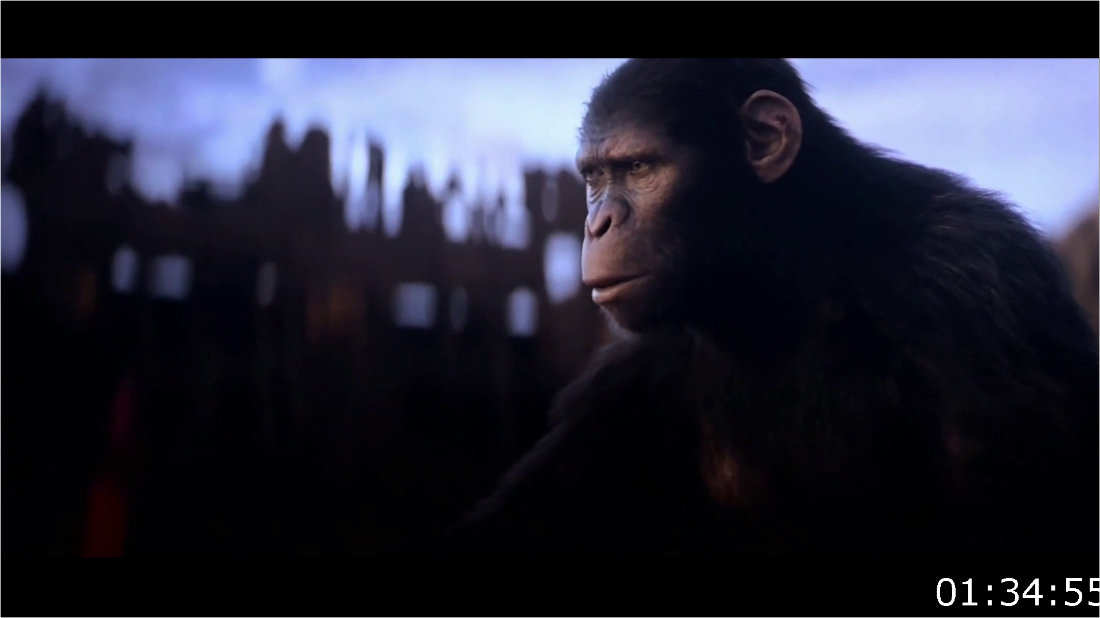 Kingdom Of The Planet Of The Apes (2024) -1080p V2 -Clean cam -x264 [1080p] Clean Cam (x264) + [Sample] YYsX7gU6_o