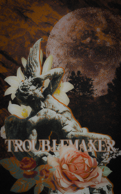 Troublemaker