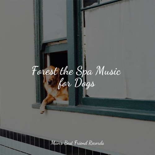 Sleep Music For Dogs - Forest the Spa Music for Dogs - 2022