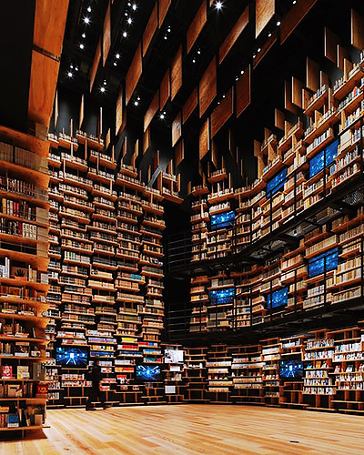 Bibliothèque Sérendipité