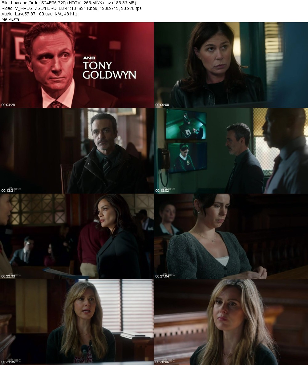 Law and Order S24E06 720p HDTV x265-MiNX