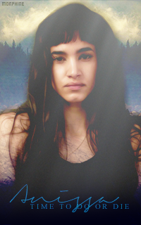 Anissa J. Haddad