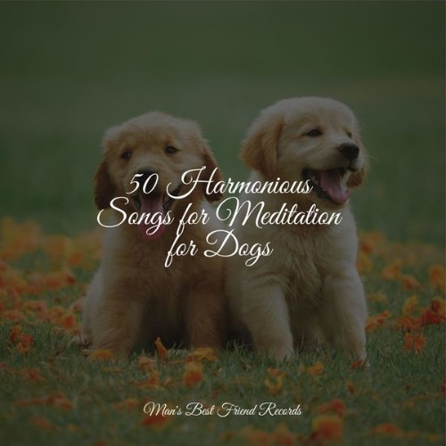 Dog Music - 50 Harmonious Songs for Meditation for Dogs - 2022