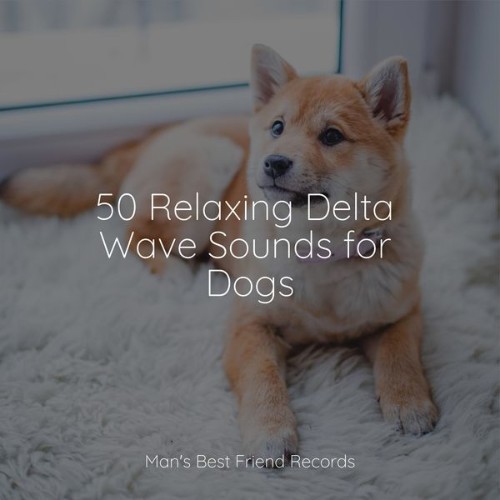 Calming Music for Dogs - 50 Relaxing Delta Wave Sounds for Dogs - 2022